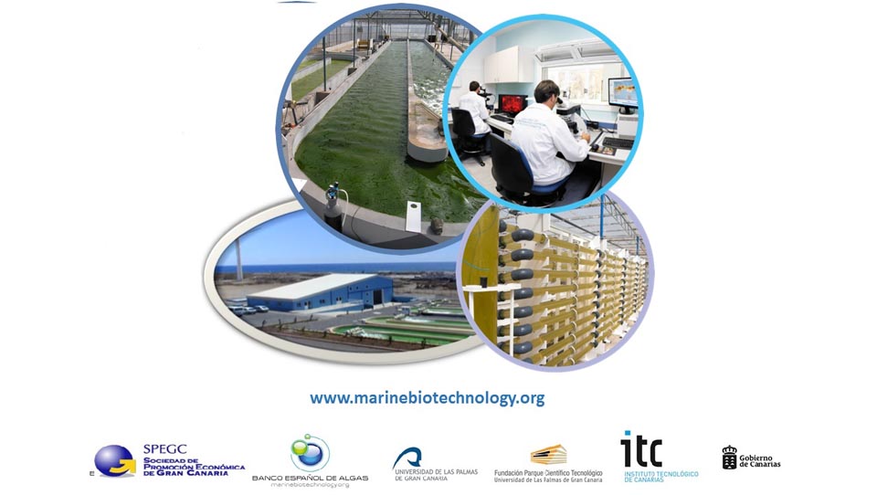 BIOTECNOLOGÍA - 2016. Plataforma de Excelencia en Biotecnología de Algas (PEBA)