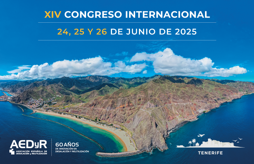 2025_06_24-26_XIV_Congreso_Int_AEDYR_TF