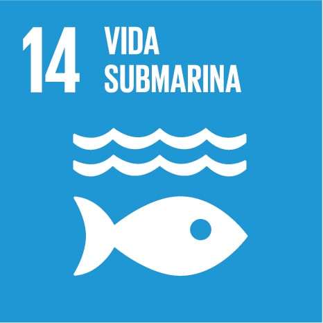 SDG icono pez mar