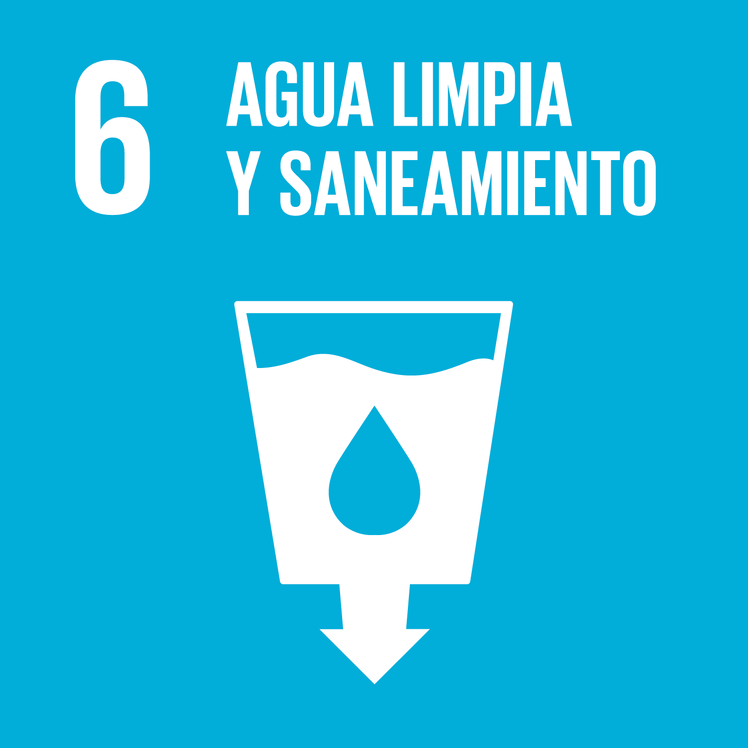 SDG goals icons individual