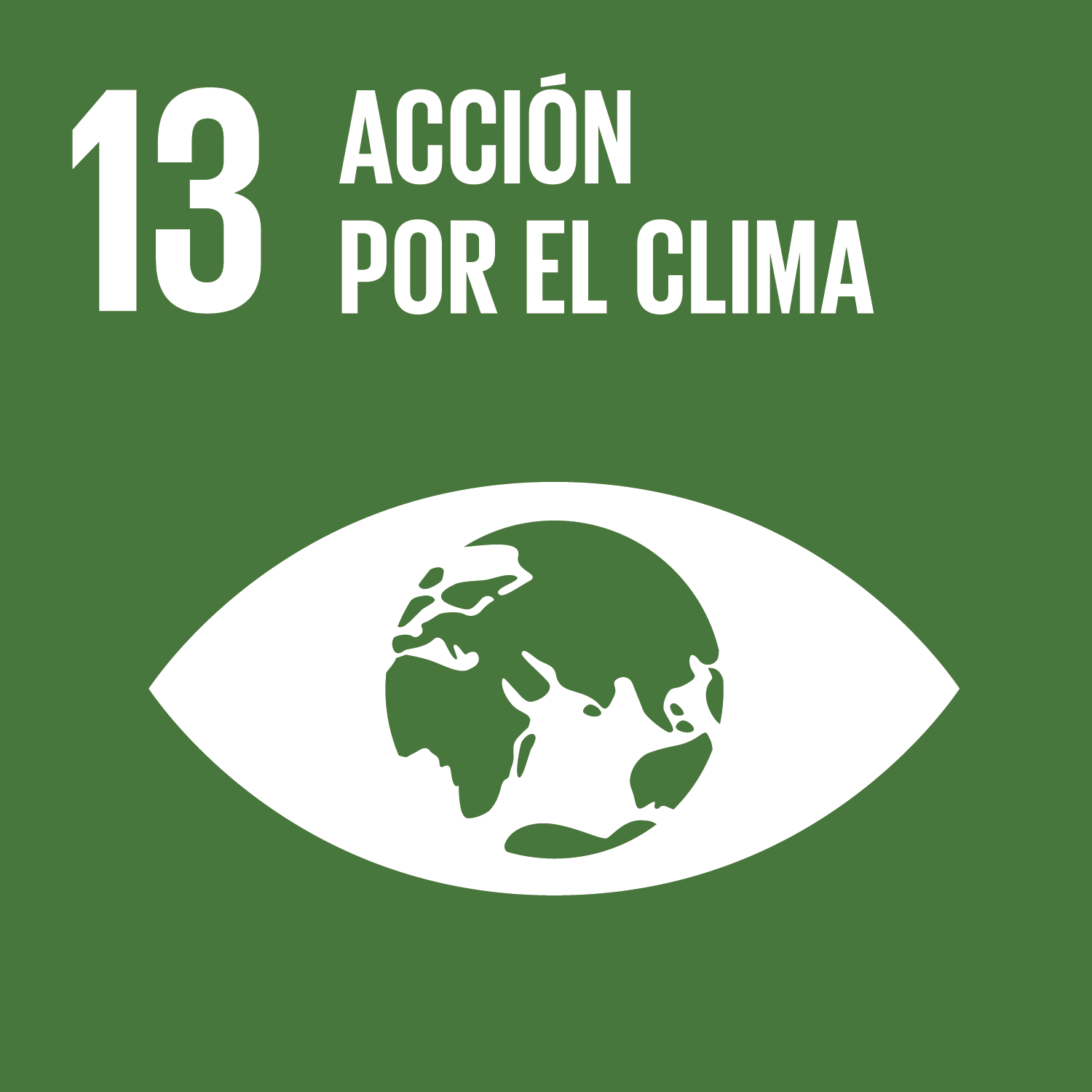 SDG goals icon individual ojo