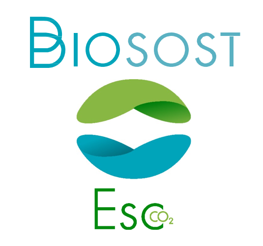 Projecto logo BIOSOST-ESC