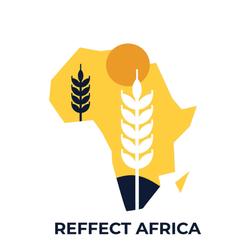 Projecto logo REFFECT AFRICA