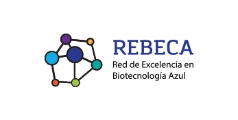 Projecto logo REBECA 